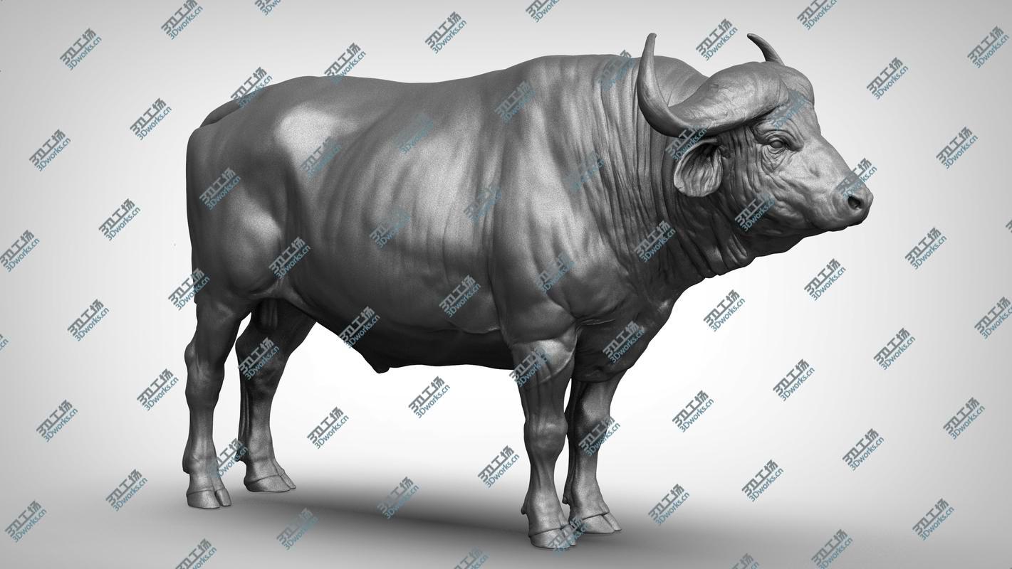 images/goods_img/20210319/3D African  buffalo - Black Cape model/2.jpg